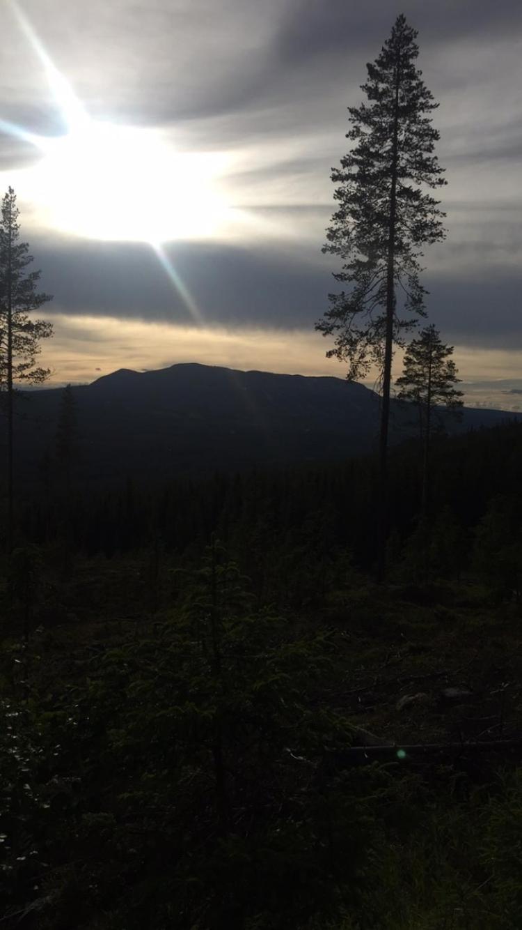 In The Middle Of Trysil Fjellet - Welcome Center - Apartment With 4 Bedrooms And Sauna - By Bike Arena And Ski Lift Bagian luar foto